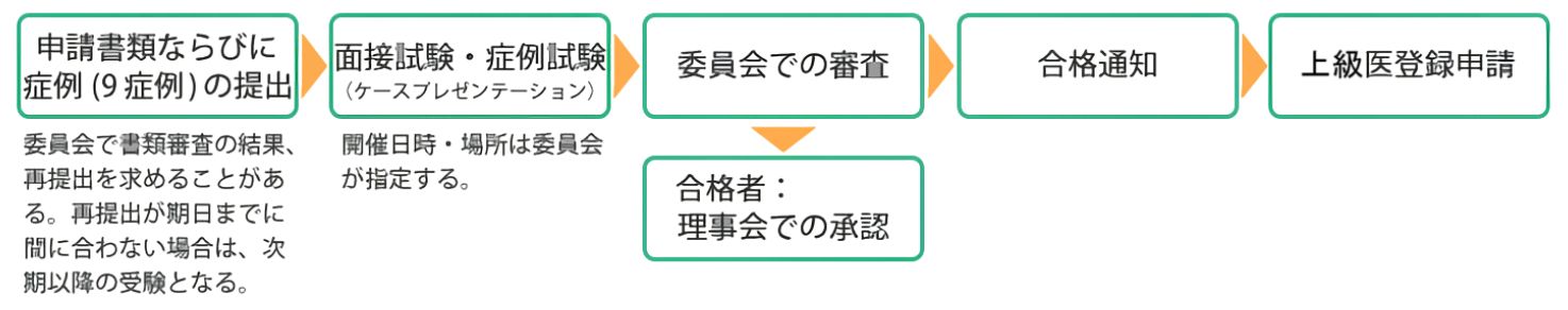 上級医新規チャート