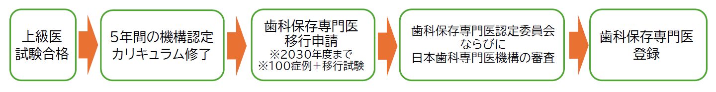 上級医新規チャート2